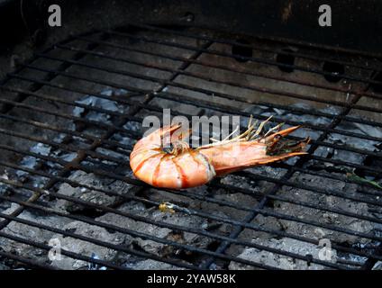 Crevettes tigres cuites sur le gril. Fond sombre. Banque D'Images