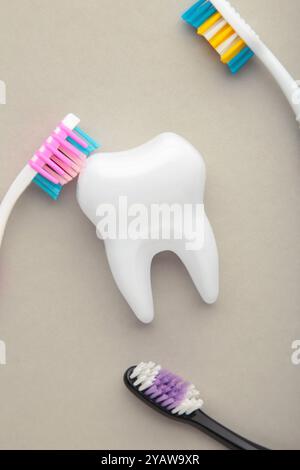 Modèle blanc de dents saines et brosses à dents sur fond gris. Soins dentaires et concept de soins de santé. Vue de dessus. Photo verticale Banque D'Images