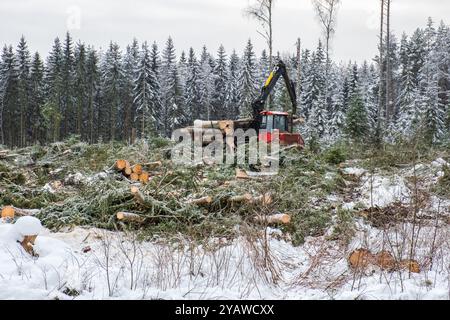 Le transitaire charge le bois sur une coupe nette Banque D'Images