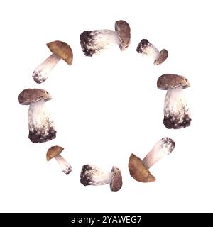 Sortes comestibles de champignons couronne champignons forêt cadre circulaire aquarelle Porcini dessiné à la main, Boletus avec modèle d'étiquette alimentaire chapeau brun récolte d'automne Banque D'Images