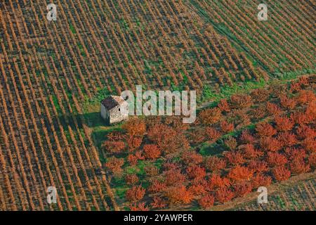 France, département de Drôme, verger paysager arbres fruitiers en automne, et vignes, avec petit abri, vue aérienne Banque D'Images