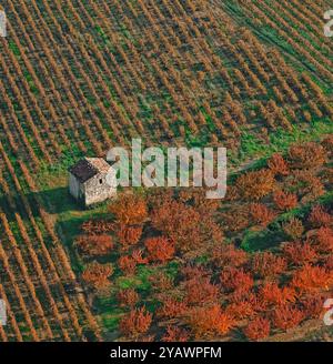 France, département de Drôme, verger paysager arbres fruitiers en automne, et vignes, avec petit abri, vue aérienne Banque D'Images