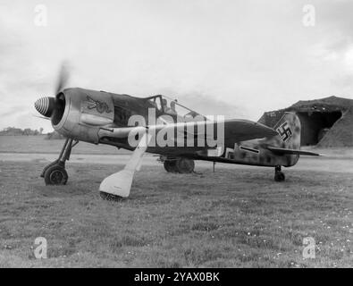 Le Focke-Wulf Fw 190, était un avion de chasse monoplace et monomoteur allemand conçu à la fin des années 1930 et largement utilisé pendant la seconde Guerre mondiale. Avec son homologue bien connu, le Messerschmitt Bf 109, le Fw 190 est devenu l'épine dorsale de la Jagdwaffe (Fighter Force) de la Luftwaffe. Le moteur en étoile BMW 801 à deux rangées équipait la plupart des versions opérationnelles et permettait à l'avion de soulever des charges plus importantes que le Bf 109, permettant son utilisation comme chasseur de jour, chasseur-bombardier, avion d'attaque au sol et, dans une moindre mesure, chasseur de nuit. Banque D'Images