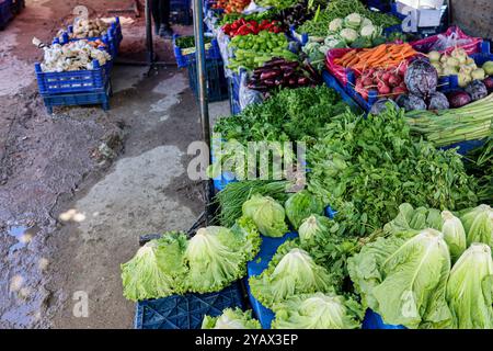 Un marché local dynamique en Turquie propose une gamme de légumes frais, y compris des herbes de laitue et des légumes racines, tous disposés dans des caisses bleues sous b. Banque D'Images