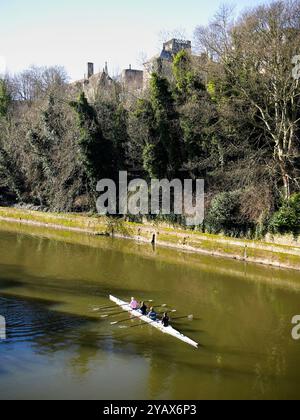 Aviron sur la rivière, Durham City Centre, Nord-est de l'Angleterre, Royaume-Uni en 2010 Banque D'Images