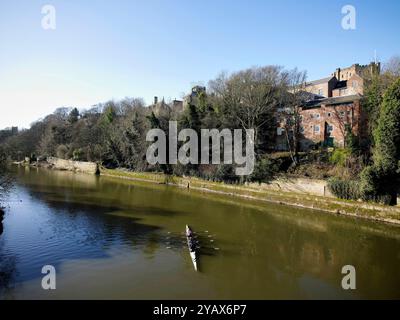 Aviron sur la rivière, Durham City Centre, Nord-est de l'Angleterre, Royaume-Uni en 2010 Banque D'Images