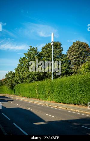 Antenne de mât de télécommunication à l'intérieur de douilles. Banque D'Images