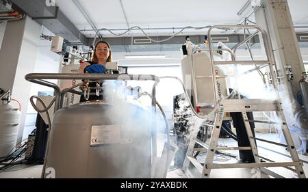 IMAGE THÉMATIQUE - projet 'capturer l'avenir' : un technicien travaillant dans l'installation de résonance magnétique nucléaire (RMN) le jeudi 29 août 2024, au campus ISTA de Klosterneuburg. Actuellement, un spectromètre RMN avance IV de 600 MHz équipé d'une sonde TBO large bande à l'état de solution, un spectromètre 800 MHz avec une sonde cryogénique refroidie à l'hélium à l'état de solution et un spectromètre supplémentaire de 700 MHz sont disponibles. Les trois appareils sont équipés de sondes à semi-conducteurs tournantes à angle magique rapide et solution. - 20240829 PD27540 Banque D'Images