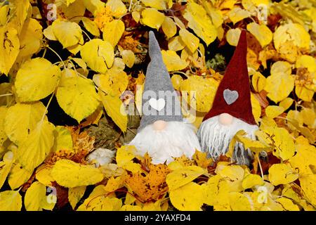 Deux petits gnomes parmi les feuilles d'hortensia jaune en automne Banque D'Images