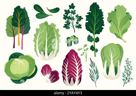 Salade plate. Ingrédients alimentaires végétaliens sains de dessin animé, légumes verts frais et épices, nourriture saine et concept à faible teneur en callories. Ensemble isolé de vecteur Illustration de Vecteur