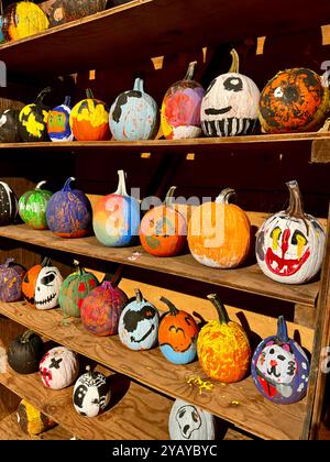 Beaucoup de citrouilles peintes pour Halloween - décorations saisonnières Banque D'Images