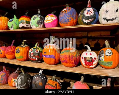 Beaucoup de citrouilles peintes pour Halloween - décorations saisonnières Banque D'Images