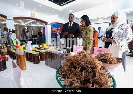 Dar es Salaam, Tanzanie. 14 octobre 2024. L'ambassadeur de Chine en Tanzanie Chen Mingjian (C) et le ministre tanzanien du commerce et du développement industriel Omar Said Shaaban (G) écoutent une présentation des produits d'une entreprise tanzanienne lors d'une cérémonie d'envoi pour les exposants tanzaniens participant à la China International Import Expo (CIIE) de cette année, qui s'est tenue à l'ambassade de Chine à Dar es Salaam, Tanzanie, 14 octobre 2024. POUR ALLER AVEC '7ème CIIE à offrir une plate-forme pour la présentation des produits tanzaniens, services : officiel' crédit : Emmanuel Herman/Xinhua/Alamy Live News Banque D'Images