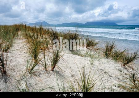 Dunes de sable à Ruakaka Beach et vue sur Whangarei Heads, Northland, Nouvelle-Zélande Banque D'Images