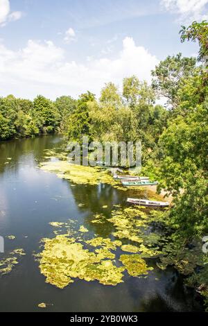 Rivière le Thouet près de Montreuil-Bellay Banque D'Images