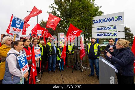 Londres, Royaume-Uni. 16 octobre 2024. Sharon Graham, Secrétaire générale de UNITE, s'adresse à la manifestation et donne une interview à la BBC. Des membres de l'Union unie organisent une manifestation devant Bakkavor à Spalding. Plus de 700 membres de Unite, le principal syndicat du Royaume-Uni, sont en grève continue depuis la fin du mois dernier (27 septembre) dans le cadre d'un conflit salarial. Les travailleurs qui gagnent juste au-dessus du salaire minimum, produisent des repas, des soupes, des trempettes, des salades, desserts, pizzas et pains pour les clients de l'entreprise, y compris Tesco, Marks and Spencer et Waitrose crédit : Karl Black/Alamy Live News Banque D'Images