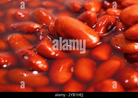 Gros plan de haricots rouges ou de haricots rouges. Haricots rouges dans l'eau. Banque D'Images