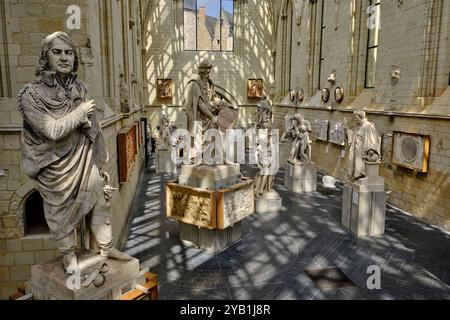 France, Maine-et-Loire, Angers, Galerie David D'Angers Banque D'Images