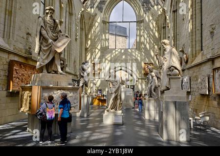 France, Maine-et-Loire, Angers, Galerie David D'Angers Banque D'Images