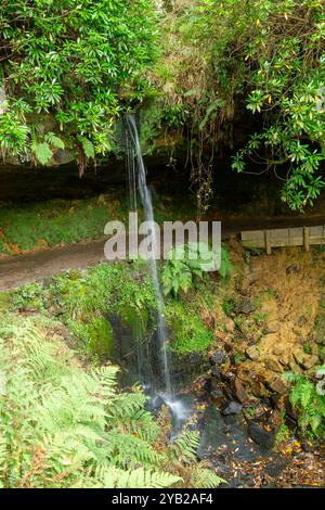 Chemin derrière la cascade de Yad sur Maspie Burn sur le domaine de Falkland près de Falkland Fife Écosse Banque D'Images