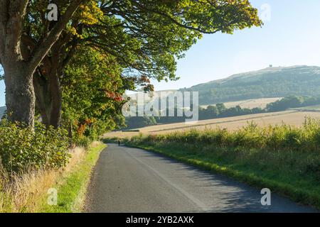 Une route de campagne près de Newtyle, Angus, Écosse Banque D'Images