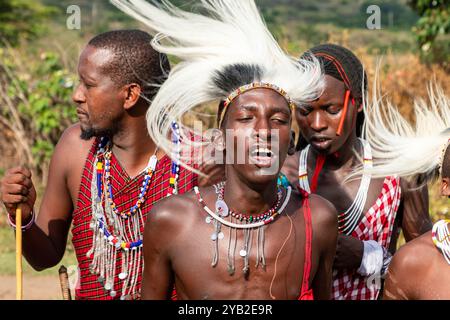 Hommes Masai en costumes tribaux traditionnels, Masai Mara, Afrique Banque D'Images