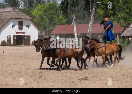 Exposition avec des chevaux dans une ferme à Puszta, Hongrie Banque D'Images