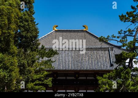 Nara, Japon - 14 août 2024 : Temple Todai-ji. Temple bouddhiste. Vue extérieure Banque D'Images