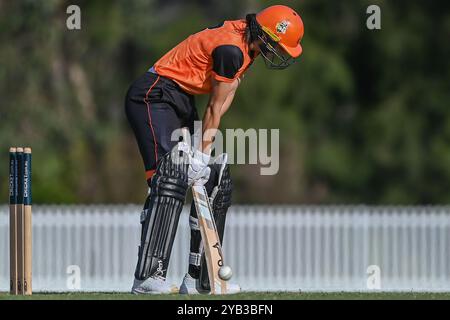 Sydney, Australie. 16 octobre 2024. Stella Campbell de Perth Scorchers réagit lors du T20 Spring Challenge match entre Sydney Thunder et Perth Scorchers à Cricket Central. Le T20 Spring Challenge 2024 est un nouveau tournoi national de cricket féminin pour la saison australienne 2024-25. Sydney Thunder : 183/3, Perth Scorchers : 122/9. Crédit : SOPA images Limited/Alamy Live News Banque D'Images