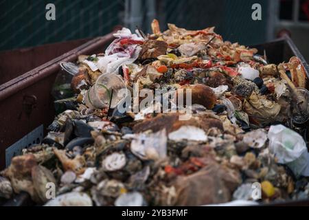 Seattle, États-Unis. 21 juillet 2024. Bac à compost de fruits de mer sur le front de mer. Banque D'Images