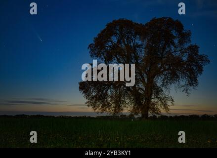 Lietzen, Allemagne. 16 octobre 2024. La comète Tsuchinshan-Atlas peut être vue dans le ciel nocturne au-dessus de Brandebourg. L'atlas de Tsuchinshan, également connu sous le nom de C/2023 A3, provient du nuage d'Oort, une collection d'objets situés à l'extrémité du système solaire, et se déplace vers le soleil depuis très longtemps. Crédit : Patrick Pleul/dpa/Alamy Live News Banque D'Images