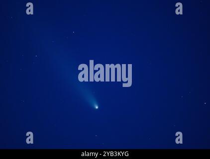 Lietzen, Allemagne. 16 octobre 2024. La comète Tsuchinshan-Atlas peut être vue dans le ciel nocturne au-dessus de Brandebourg. L'atlas de Tsuchinshan, également connu sous le nom de C/2023 A3, provient du nuage d'Oort, une collection d'objets situés à l'extrémité du système solaire, et se déplace vers le soleil depuis très longtemps. Crédit : Patrick Pleul/dpa/Alamy Live News Banque D'Images