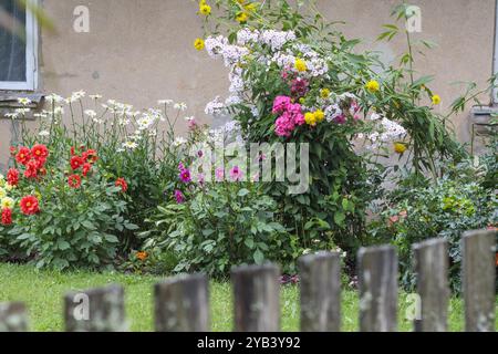 Un lit coloré de diverses fleurs dans le jardin Banque D'Images