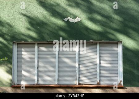 Les branches d'un arbre projettent de longues ombres sur un mur de maison peint en vert. Banque D'Images