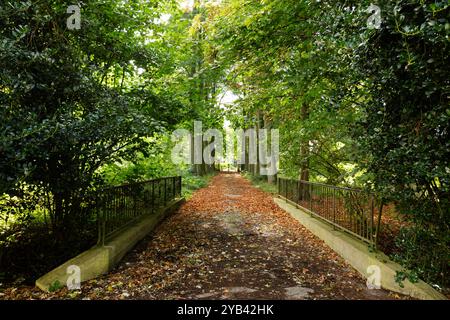 Plan grand angle d'un chemin couvert de feuilles menant à travers une avenue d'arbres vers une porte de fer. Banque D'Images