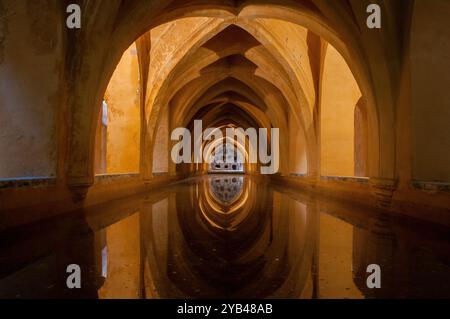 Les bains de Lady Maria de Padilla. Real Alcázar de Seville. Espagne / Los Baños de Doña María de Padilla Banque D'Images