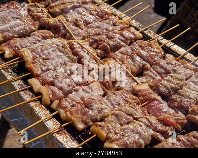 Brochettes de porc thaïlandaises sur le grill lors d'un festival culinaire à Manassas, Virginie, États-Unis Banque D'Images