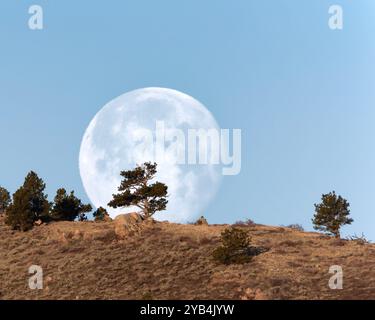 Une pleine lune en avril, connue sous le nom de lune rose, se couche sur le paysage du Wyoming. Banque D'Images