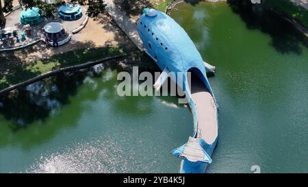 Vue aérienne de la baleine bleue de Catoosa, Oklahoma Banque D'Images