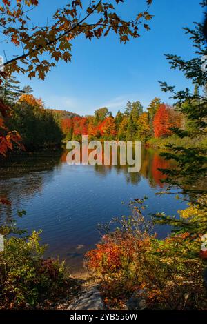 Tranquillité et couleur automnale le long de la rivière Nord, Québec. Banque D'Images