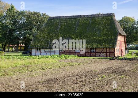 Ferme historique de Selmsdorf, musée en plein air de Klockenhagen, village historique de Mecklenburg, fermes de Mecklenburg, Klockenhagen, Mecklenburg-Western po Banque D'Images