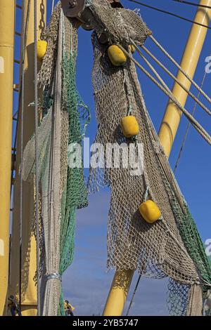 Détail, filet de pêche, coupe-pêche, port, Strucklahnungshoern, Nordstrand, Nordfriesland, Schleswig-Holstein, Allemagne, Europe Banque D'Images