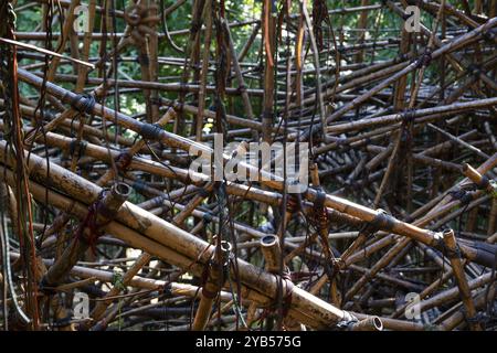 Gros plan d'une installation complexe en bambou, sculpture en bambou de Doug et Mike Starn, musée d'art Ordrupgaard, collection de Henny et Wilhelm Hansen, Or Banque D'Images