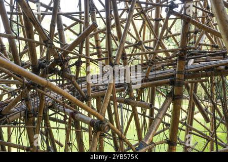 Gros plan d'une installation complexe en bambou au milieu d'un parc verdoyant, sculpture en bambou de Doug et Mike Starn, musée d'art Ordrupgaard, collection o Banque D'Images