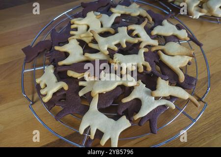 Cuisine souabe, biscuits de Noël souabe, emporte-pièces, biscuits sablés, figurines de chat, pâtisseries noires au cacao, biscuits blancs, écouvillon typique Banque D'Images