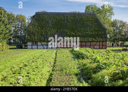 Ferme historique de Selmsdorf, musée en plein air de Klockenhagen, village historique de Mecklenburg, fermes de Mecklenburg, Klockenhagen, Mecklenburg-Western po Banque D'Images