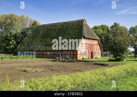 Ferme historique de Selmsdorf, musée en plein air de Klockenhagen, village historique de Mecklenburg, fermes de Mecklenburg, Klockenhagen, Mecklenburg-Western po Banque D'Images