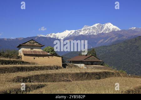 Fermes et chaîne d'Annapurna enneigée. Scène près de Ghale Gaun, Népal, Asie Banque D'Images