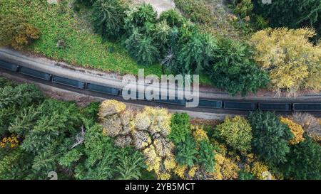 Un train de marchandises chargé de charbon coupe une forêt d'automne dans l'État de Washington, aux États-Unis Banque D'Images