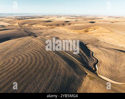 Vue aérienne de motifs abstraits dans un champ de blé de Palouse après la récolte, Pacifique Nord-Ouest, États-Unis Banque D'Images